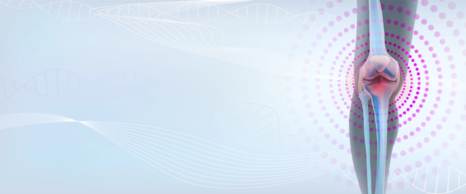 Banner Image 1